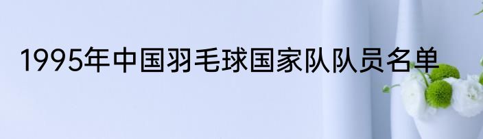 1995年中国羽毛球国家队队员名单