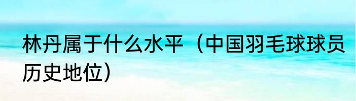 林丹属于什么水平（中国羽毛球球员历史地位）
