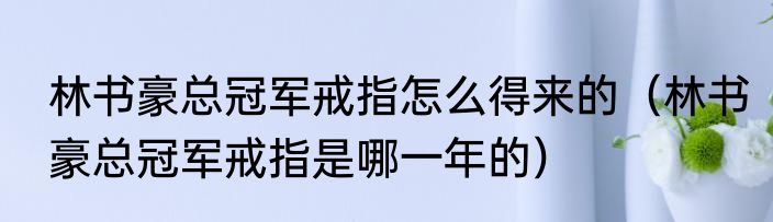 林书豪总冠军戒指怎么得来的（林书豪总冠军戒指是哪一年的）