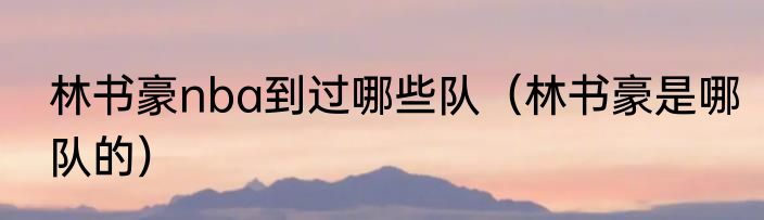 林书豪nba到过哪些队（林书豪是哪队的）