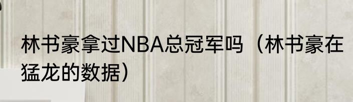 林书豪拿过NBA总冠军吗（林书豪在猛龙的数据）