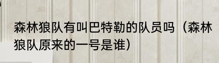 森林狼队有叫巴特勒的队员吗（森林狼队原来的一号是谁）