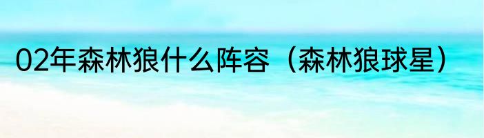 02年森林狼什么阵容（森林狼球星）