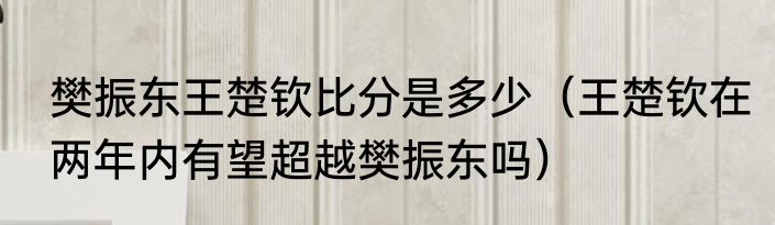 樊振东王楚钦比分是多少（王楚钦在两年内有望超越樊振东吗）