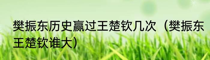樊振东历史赢过王楚钦几次（樊振东王楚钦谁大）