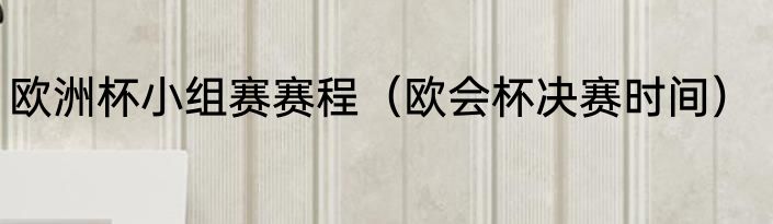 欧洲杯小组赛赛程（欧会杯决赛时间）