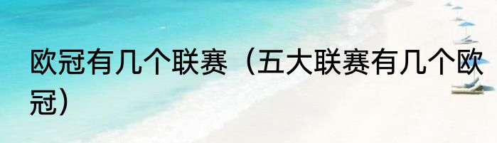 欧冠有几个联赛（五大联赛有几个欧冠）