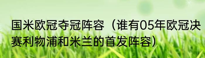 国米欧冠夺冠阵容（谁有05年欧冠决赛利物浦和米兰的首发阵容）