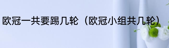 欧冠一共要踢几轮（欧冠小组共几轮）