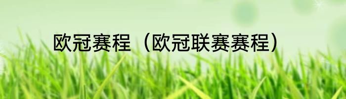 欧冠赛程（欧冠联赛赛程）