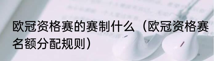 欧冠资格赛的赛制什么（欧冠资格赛名额分配规则）