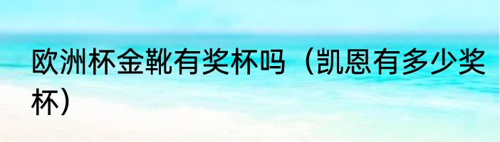 欧洲杯金靴有奖杯吗（凯恩有多少奖杯）