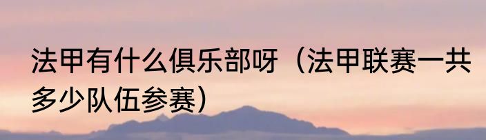 法甲有什么俱乐部呀（法甲联赛一共多少队伍参赛）