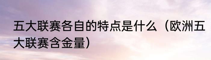 五大联赛各自的特点是什么（欧洲五大联赛含金量）