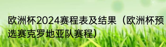 欧洲杯2024赛程表及结果（欧洲杯预选赛克罗地亚队赛程）