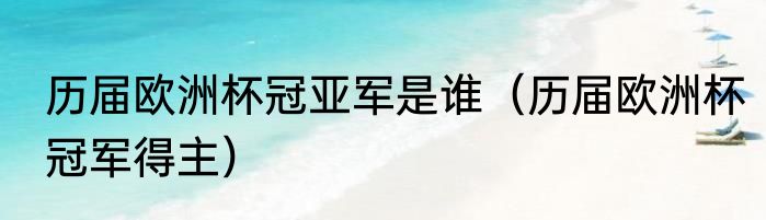 历届欧洲杯冠亚军是谁（历届欧洲杯冠军得主）