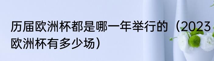 历届欧洲杯都是哪一年举行的（2023欧洲杯有多少场）