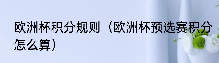 欧洲杯积分规则（欧洲杯预选赛积分怎么算）