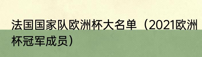 法国国家队欧洲杯大名单（2021欧洲杯冠军成员）