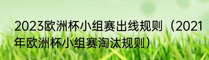 2023欧洲杯小组赛出线规则（2021年欧洲杯小组赛淘汰规则）