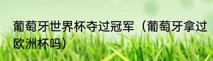 葡萄牙世界杯夺过冠军（葡萄牙拿过欧洲杯吗）