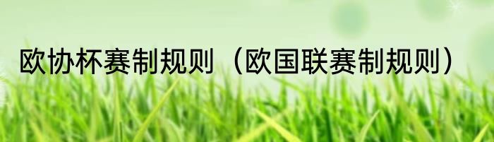 欧协杯赛制规则（欧国联赛制规则）