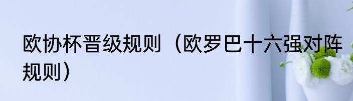 欧协杯晋级规则（欧罗巴十六强对阵规则）