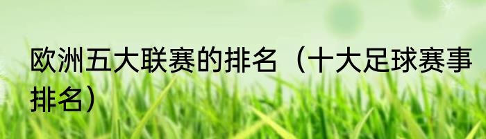 欧洲五大联赛的排名（十大足球赛事排名）
