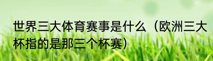 世界三大体育赛事是什么（欧洲三大杯指的是那三个杯赛）