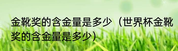 金靴奖的含金量是多少（世界杯金靴奖的含金量是多少）