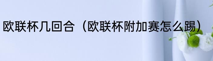 欧联杯几回合（欧联杯附加赛怎么踢）