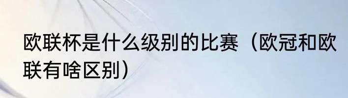 欧联杯是什么级别的比赛（欧冠和欧联有啥区别）