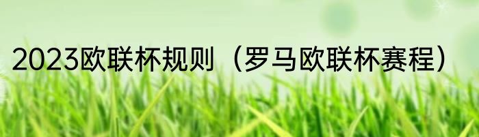 2023欧联杯规则（罗马欧联杯赛程）