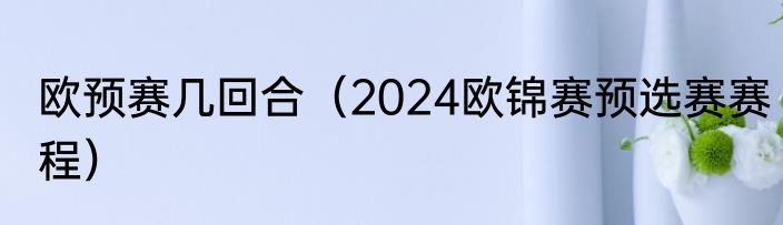 欧预赛几回合（2024欧锦赛预选赛赛程）