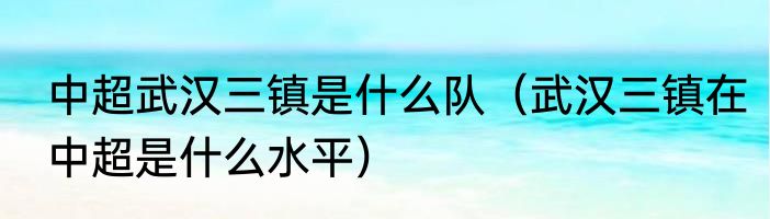 中超武汉三镇是什么队（武汉三镇在中超是什么水平）