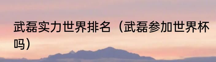 武磊实力世界排名（武磊参加世界杯吗）