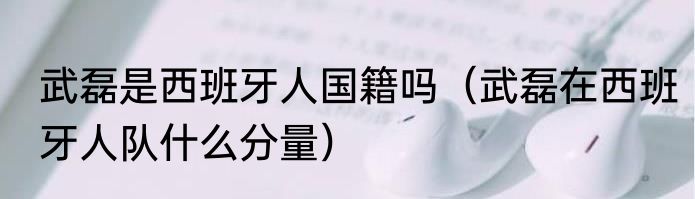 武磊是西班牙人国籍吗（武磊在西班牙人队什么分量）