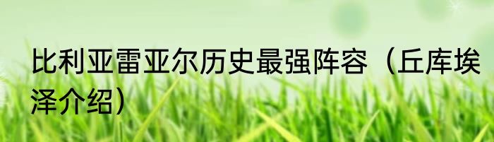 比利亚雷亚尔历史最强阵容（丘库埃泽介绍）