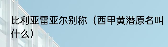 比利亚雷亚尔别称（西甲黄潜原名叫什么）