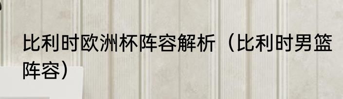 比利时欧洲杯阵容解析（比利时男篮阵容）