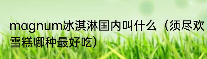 magnum冰淇淋国内叫什么（须尽欢雪糕哪种最好吃）