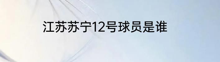 江苏苏宁12号球员是谁