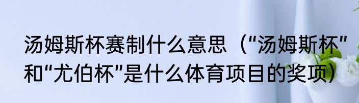 汤姆斯杯赛制什么意思（“汤姆斯杯”和“尤伯杯”是什么体育项目的奖项）