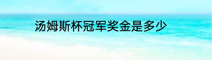 汤姆斯杯冠军奖金是多少