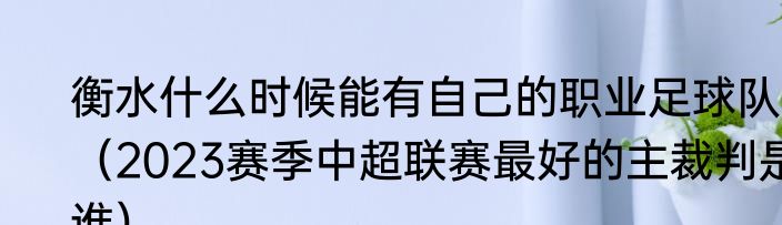 衡水什么时候能有自己的职业足球队（2023赛季中超联赛最好的主裁判是谁）