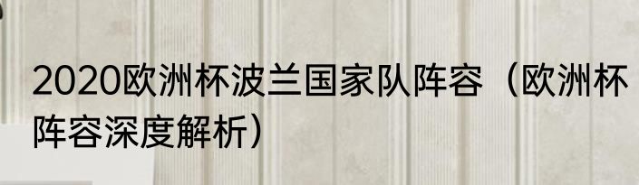 2020欧洲杯波兰国家队阵容（欧洲杯阵容深度解析）
