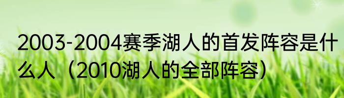 2003-2004赛季湖人的首发阵容是什么人（2010湖人的全部阵容）