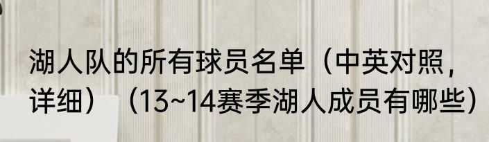 湖人队的所有球员名单（中英对照，详细）（13~14赛季湖人成员有哪些）