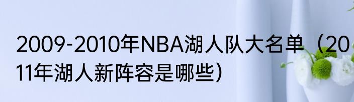 2009-2010年NBA湖人队大名单（2011年湖人新阵容是哪些）