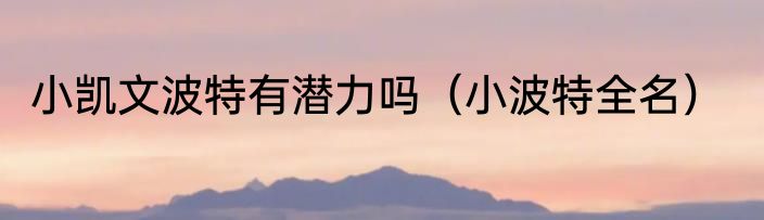 小凯文波特有潜力吗（小波特全名）